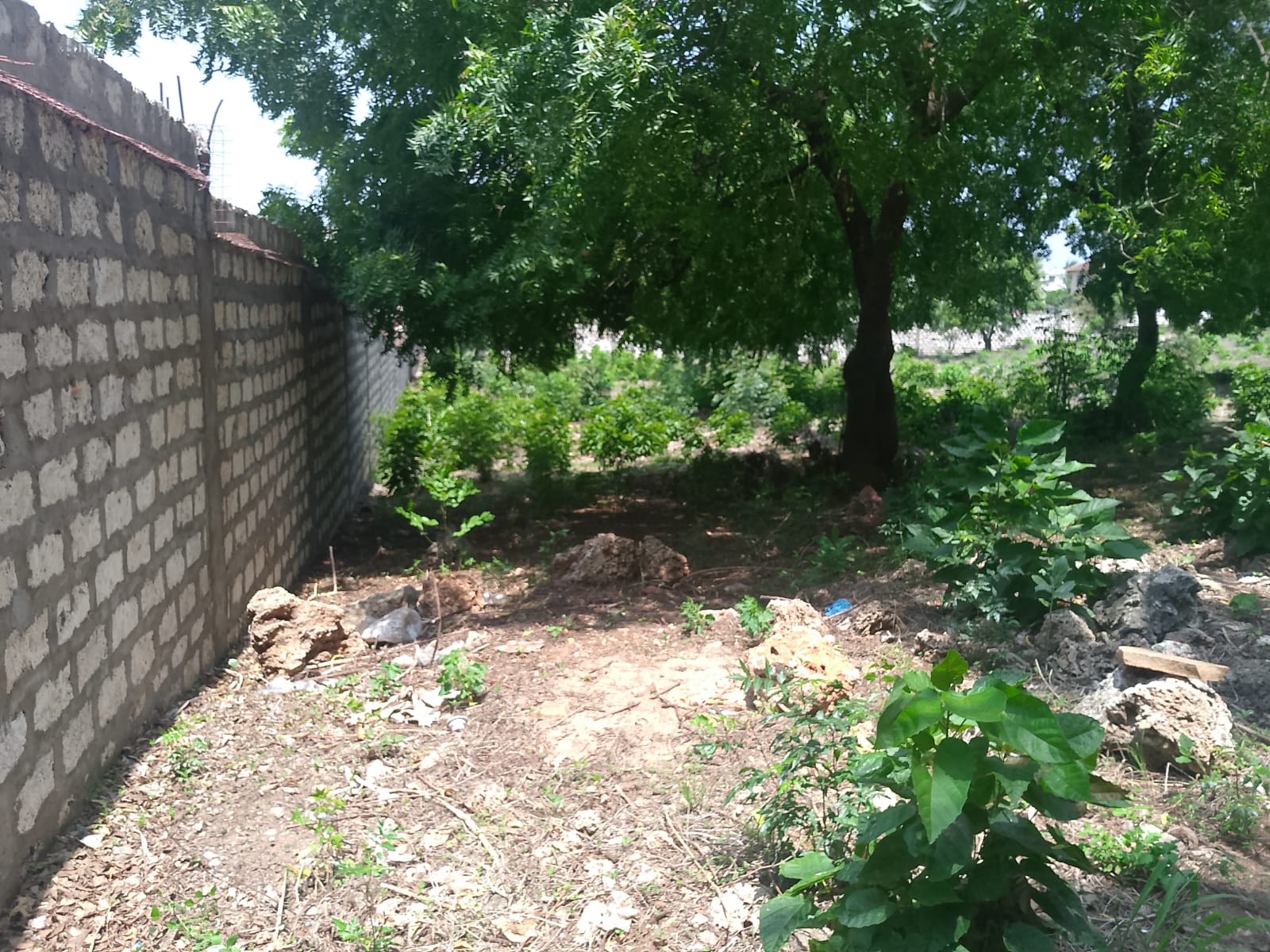 Prime 1-acre land for sale in Watamu near Pitch and Putt Golf, walled on three sides with easy access to Jacaranda Road and amenities.