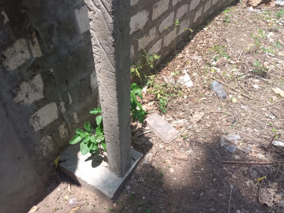 Prime 1-acre land for sale in Watamu near Pitch and Putt Golf, walled on three sides with easy access to Jacaranda Road and amenities.