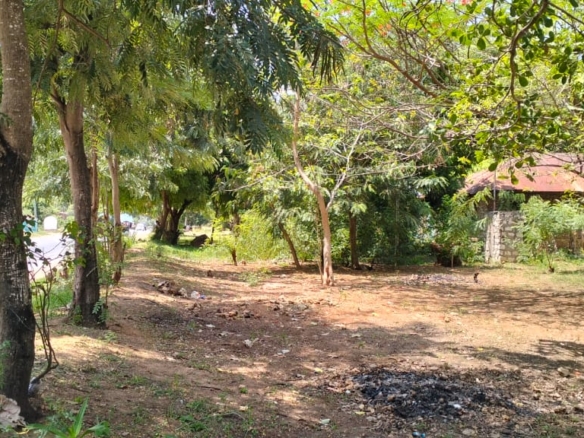 50x100 plot for sale near Gede on Watamu Road with road frontage, mother title available, and high investment potential in a fast-growing area.