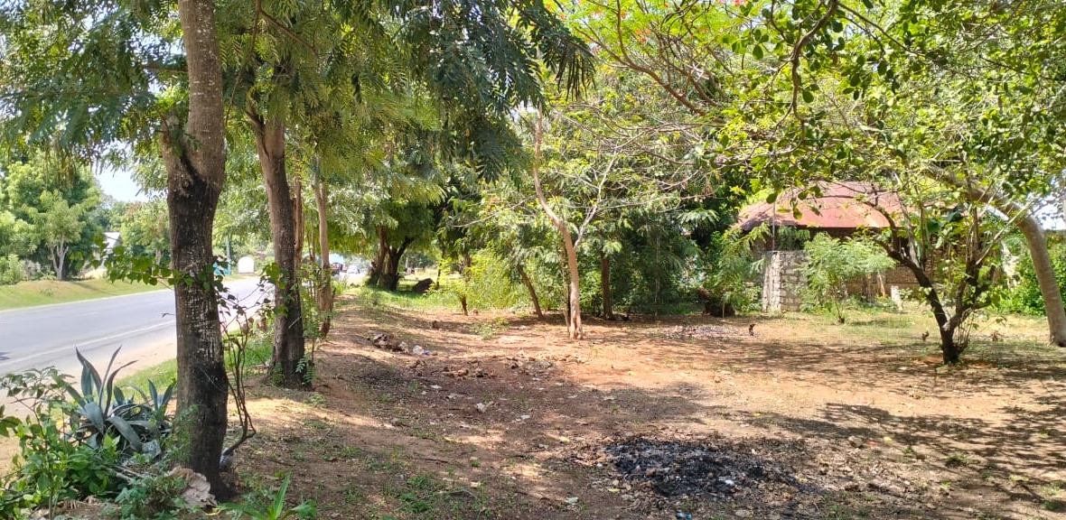 50x100 plot for sale near Gede on Watamu Road with road frontage, mother title available, and high investment potential in a fast-growing area.