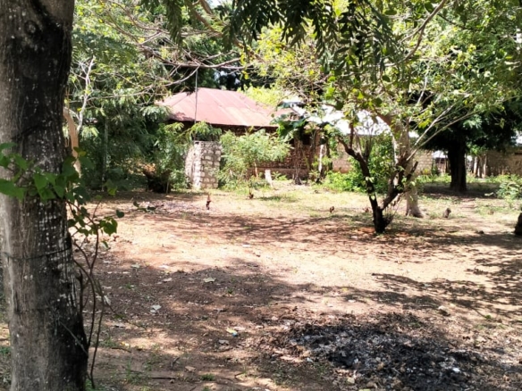 50x100 plot for sale near Gede on Watamu Road with road frontage, mother title available, and high investment potential in a fast-growing area.
