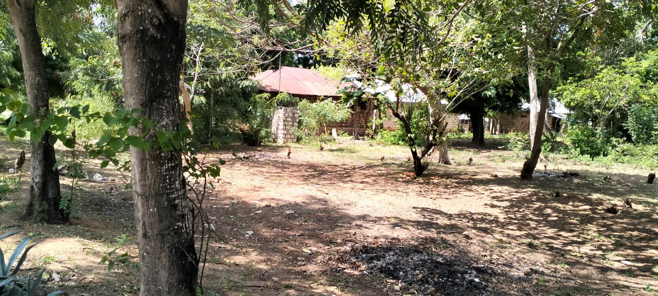 50x100 plot for sale near Gede on Watamu Road with road frontage, mother title available, and high investment potential in a fast-growing area.