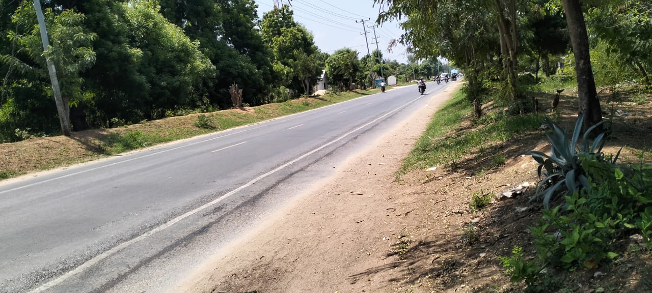 50x100 plot for sale near Gede on Watamu Road with road frontage, mother title available, and high investment potential in a fast-growing area.