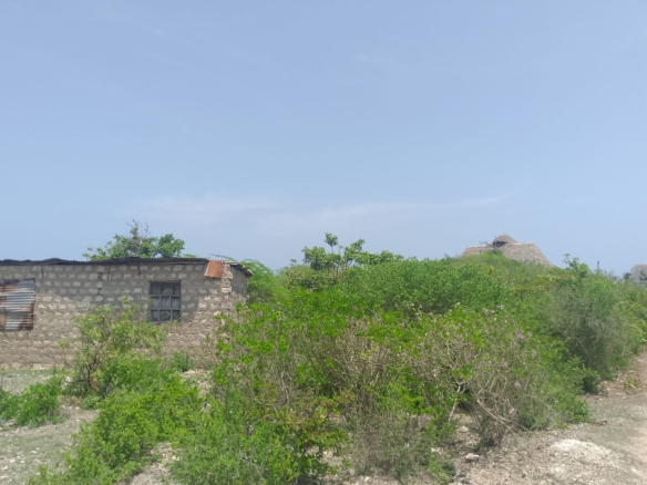 Prime 2-acre second-row plot for sale in Watamu near Lonno Lodge and Mawe Zuri with beach access and Jacaranda Road frontage.