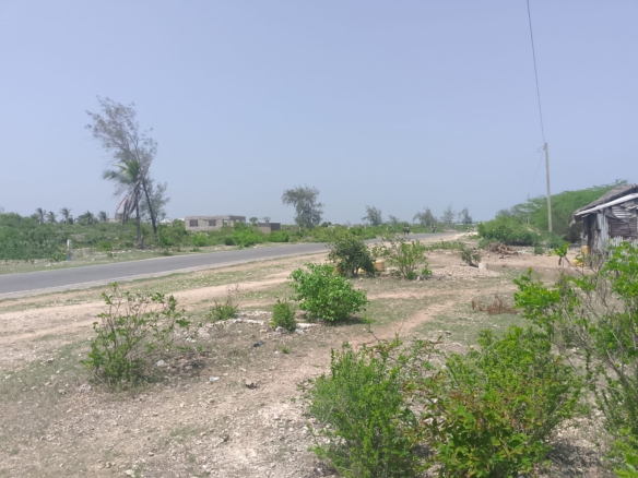 Prime 2-acre second-row plot for sale in Watamu near Lonno Lodge and Mawe Zuri with beach access and Jacaranda Road frontage.