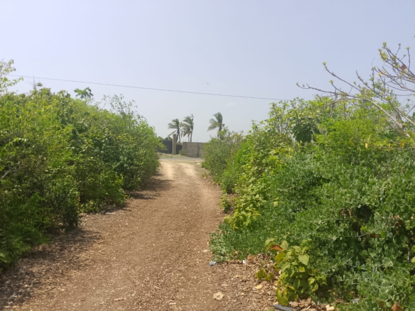 Prime 2-acre second-row plot for sale in Watamu near Lonno Lodge and Mawe Zuri with beach access and Jacaranda Road frontage.