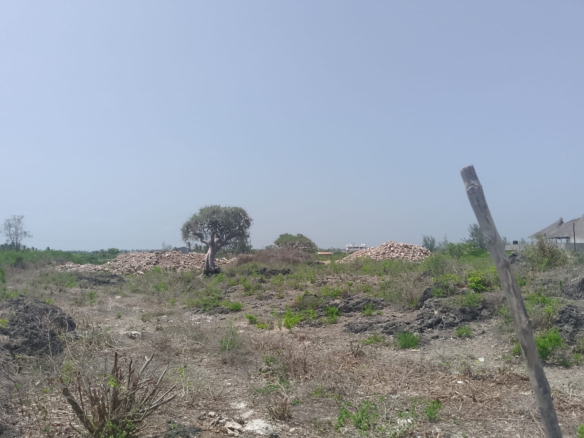 Prime 2-acre second-row plot for sale in Watamu near Lonno Lodge and Mawe Zuri with beach access and Jacaranda Road frontage.