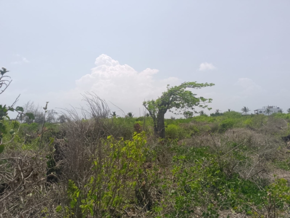 Prime 2-acre second-row plot for sale in Watamu near Lonno Lodge and Mawe Zuri with beach access and Jacaranda Road frontage.