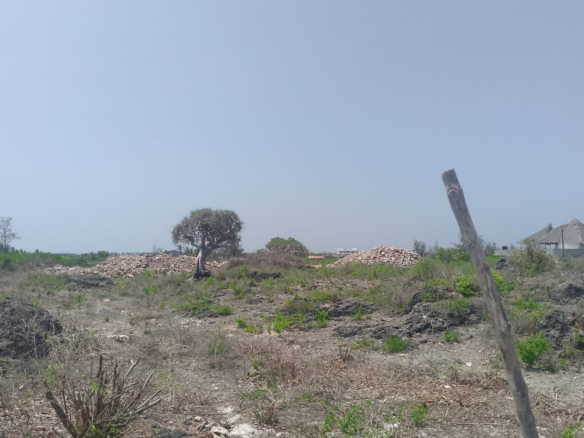 Prime 2-acre second-row plot for sale in Watamu near Lonno Lodge and Mawe Zuri with beach access and Jacaranda Road frontage.