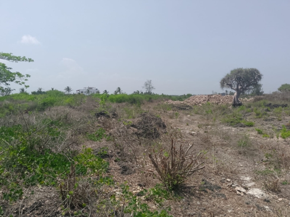Prime 2-acre second-row plot for sale in Watamu near Lonno Lodge and Mawe Zuri with beach access and Jacaranda Road frontage.