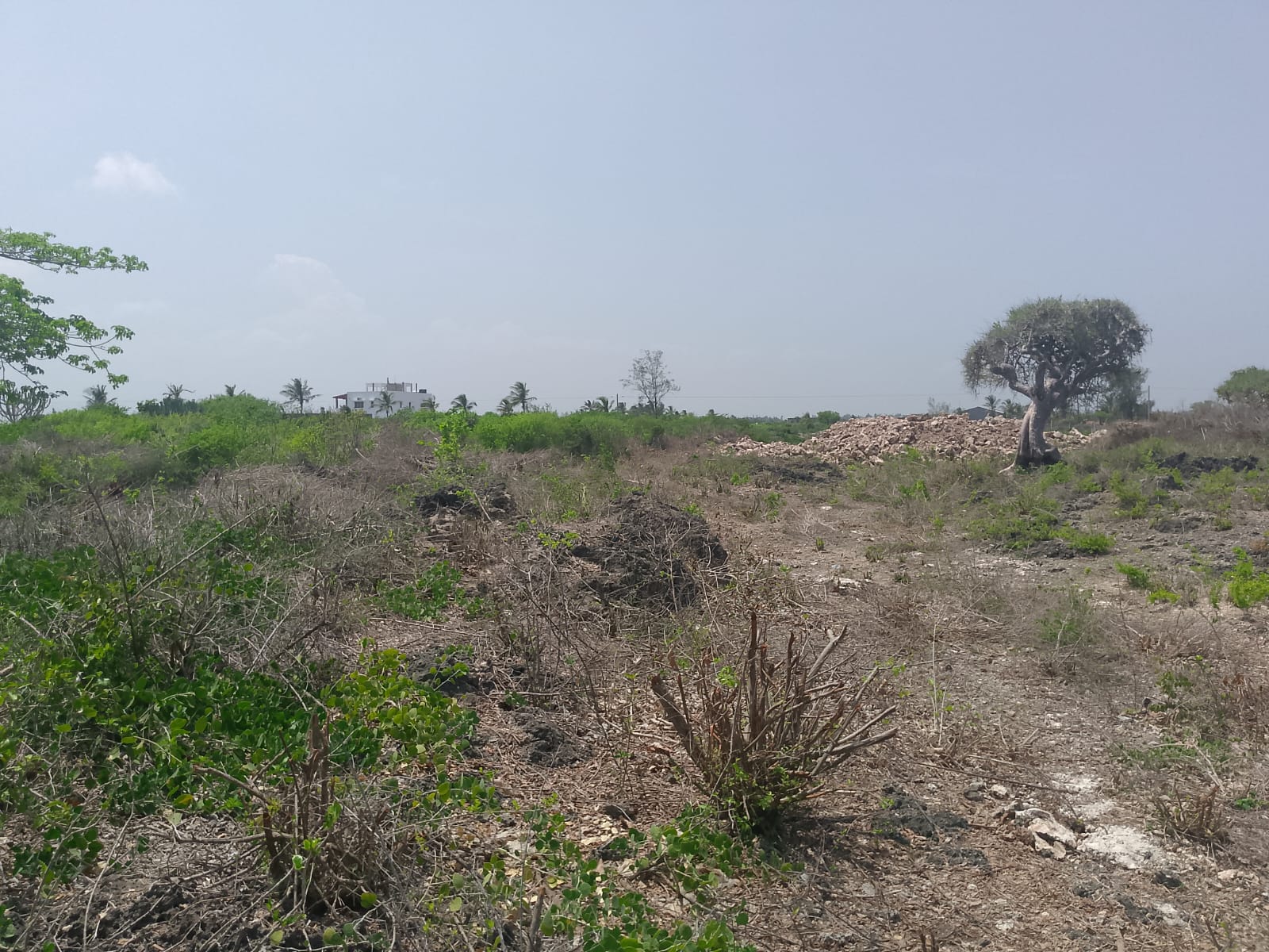Prime 2-acre second-row plot for sale in Watamu near Lonno Lodge and Mawe Zuri with beach access and Jacaranda Road frontage.