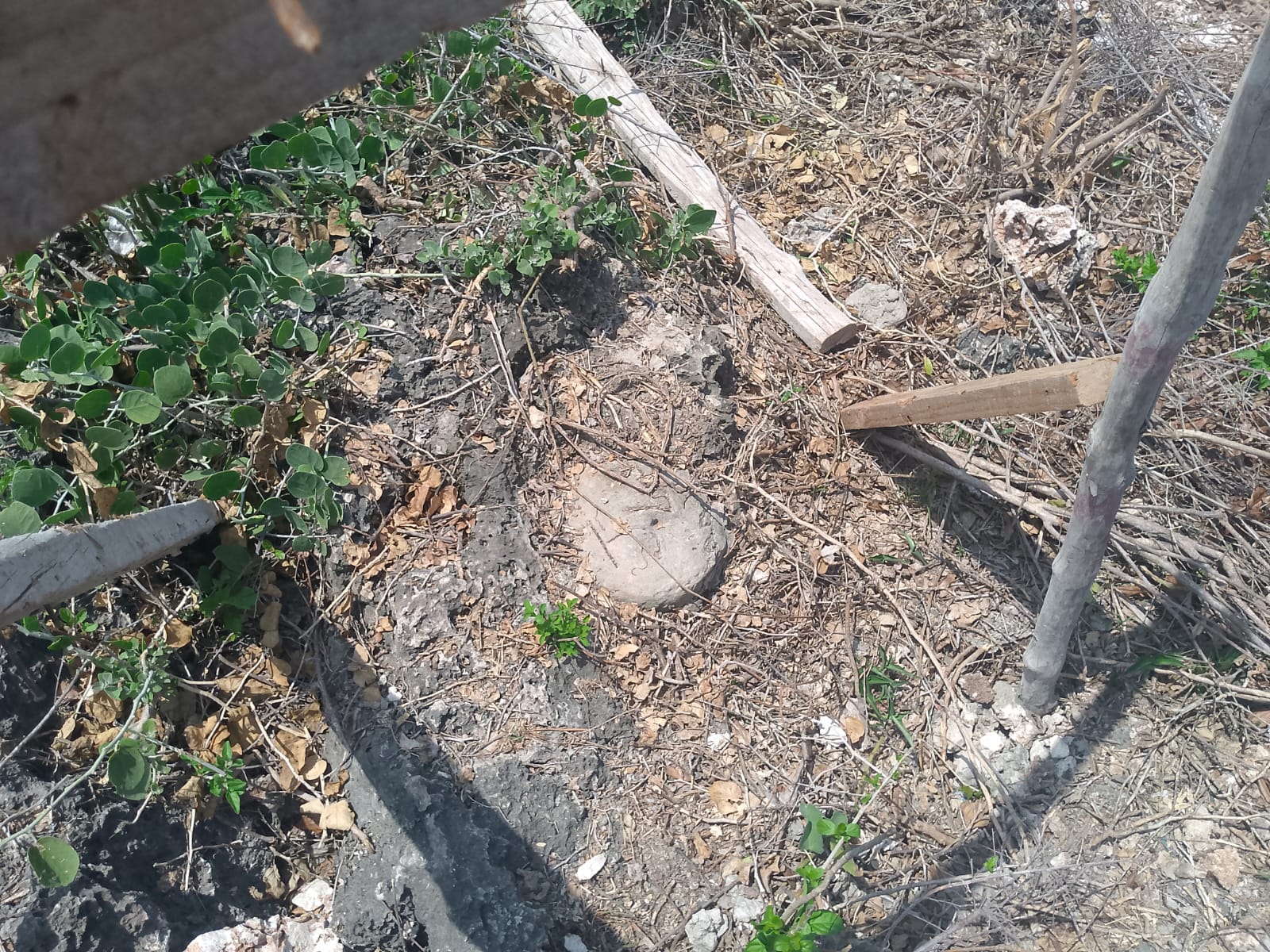 Prime 2-acre second-row plot for sale in Watamu near Lonno Lodge and Mawe Zuri with beach access and Jacaranda Road frontage.