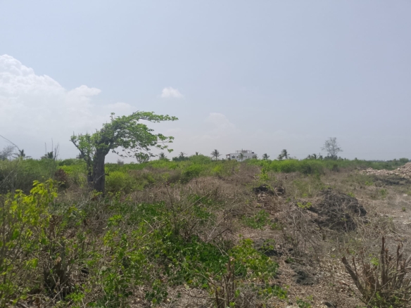 Prime 2-acre second-row plot for sale in Watamu near Lonno Lodge and Mawe Zuri with beach access and Jacaranda Road frontage.