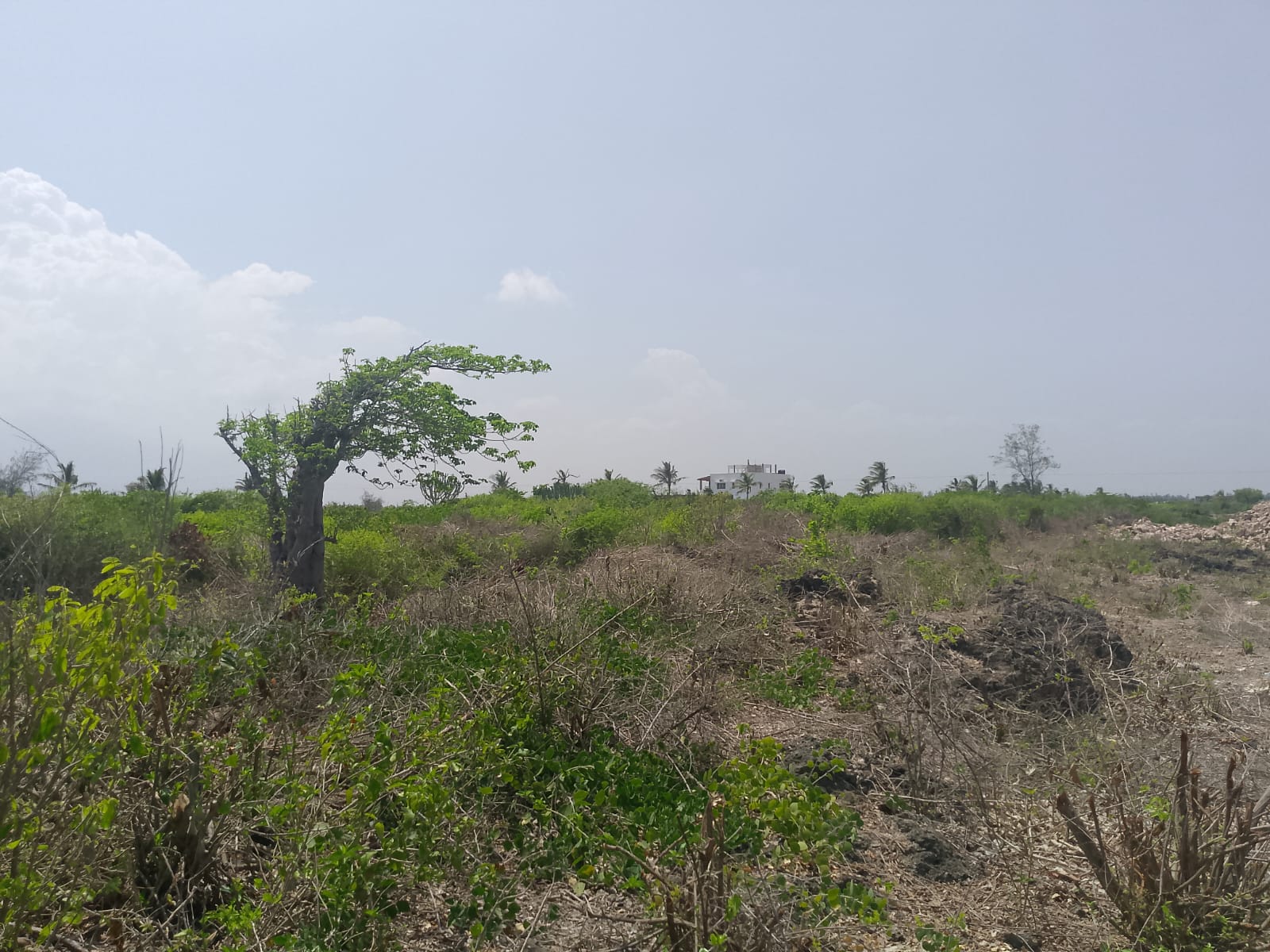 Prime 2-acre second-row plot for sale in Watamu near Lonno Lodge and Mawe Zuri with beach access and Jacaranda Road frontage.