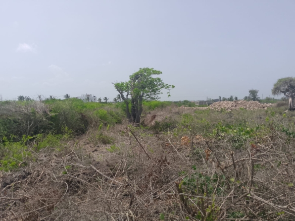 Prime 2-acre second-row plot for sale in Watamu near Lonno Lodge and Mawe Zuri with beach access and Jacaranda Road frontage.