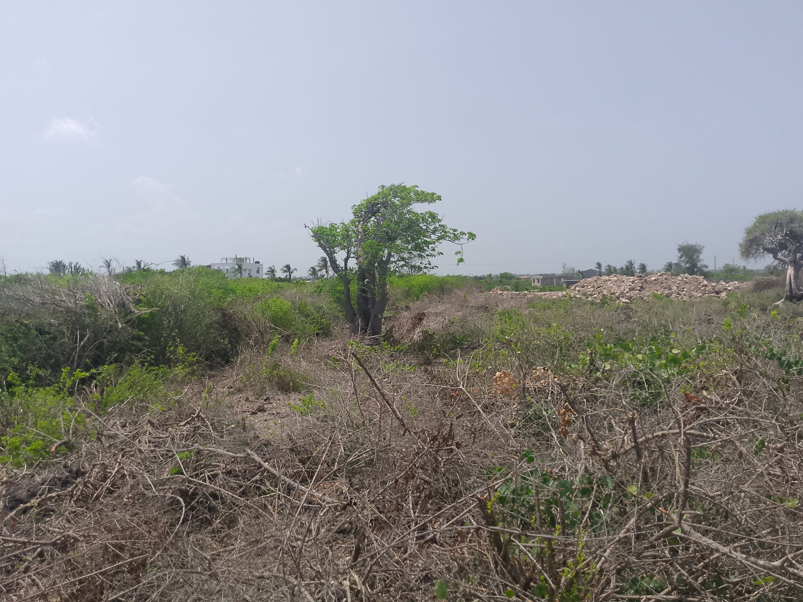 Prime 2-acre second-row plot for sale in Watamu near Lonno Lodge and Mawe Zuri with beach access and Jacaranda Road frontage.