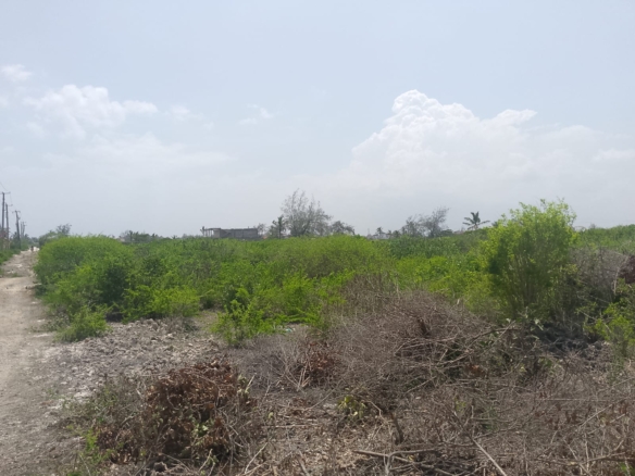 Prime 2-acre second-row plot for sale in Watamu near Lonno Lodge and Mawe Zuri with beach access and Jacaranda Road frontage.