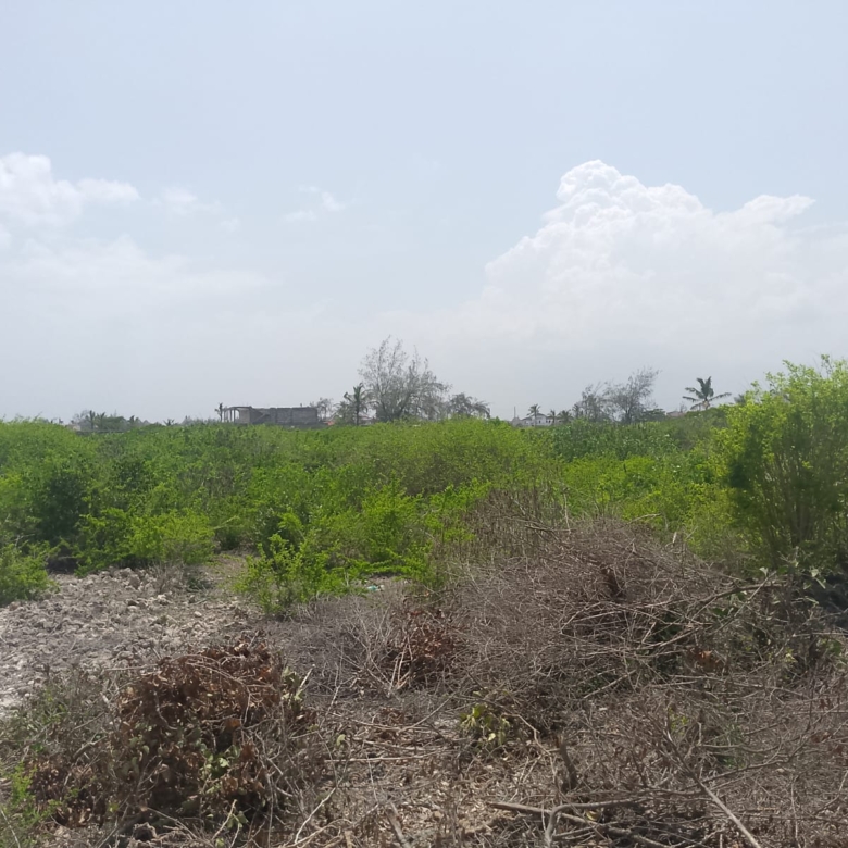 Prime 2-acre second-row plot for sale in Watamu near Lonno Lodge and Mawe Zuri with beach access and Jacaranda Road frontage.