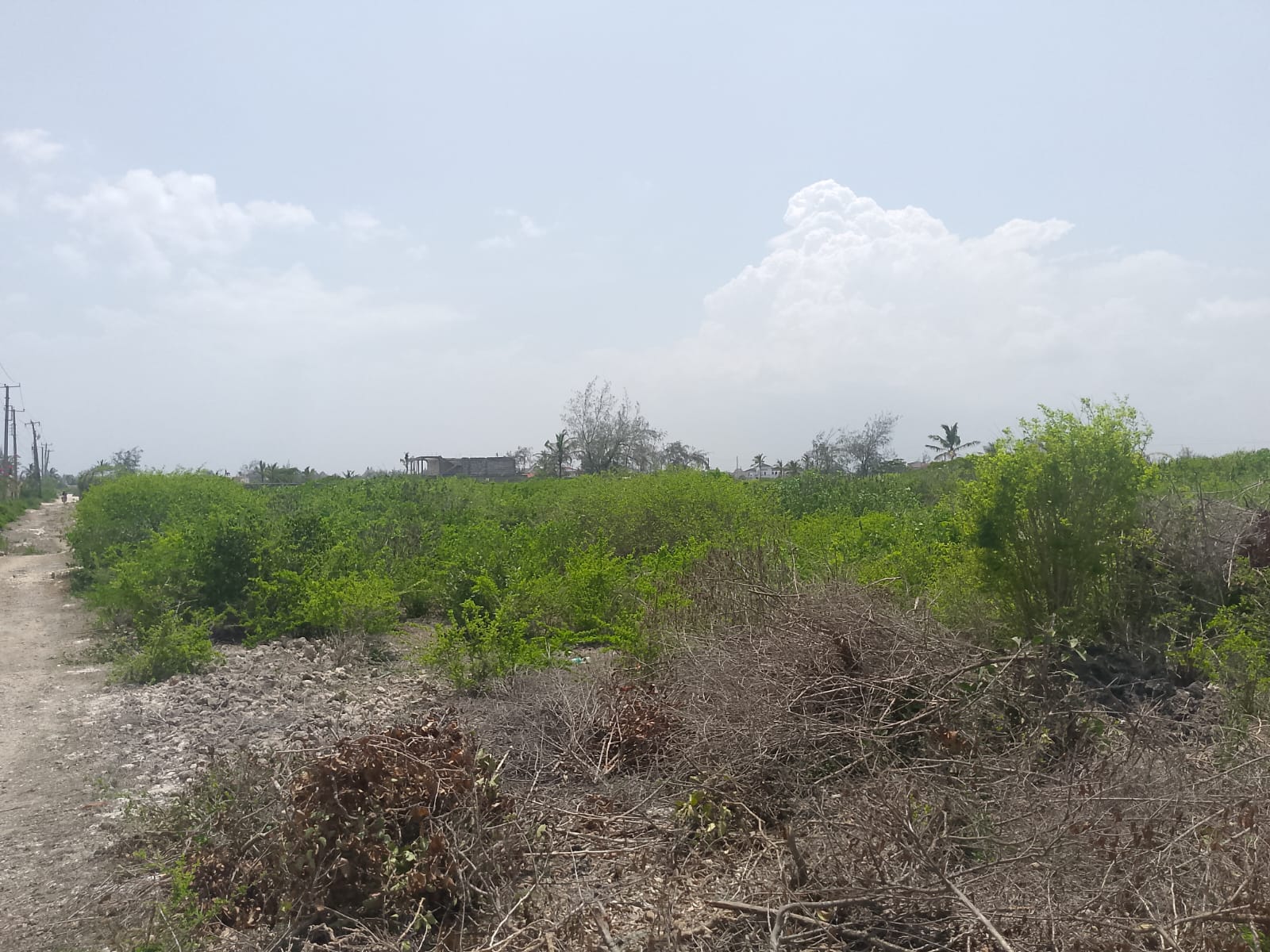 Prime 2-acre second-row plot for sale in Watamu near Lonno Lodge and Mawe Zuri with beach access and Jacaranda Road frontage.