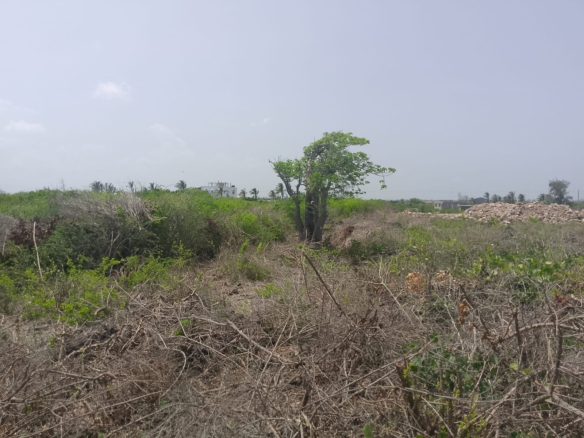 Prime 2-acre second-row plot for sale in Watamu near Lonno Lodge and Mawe Zuri with beach access and Jacaranda Road frontage.