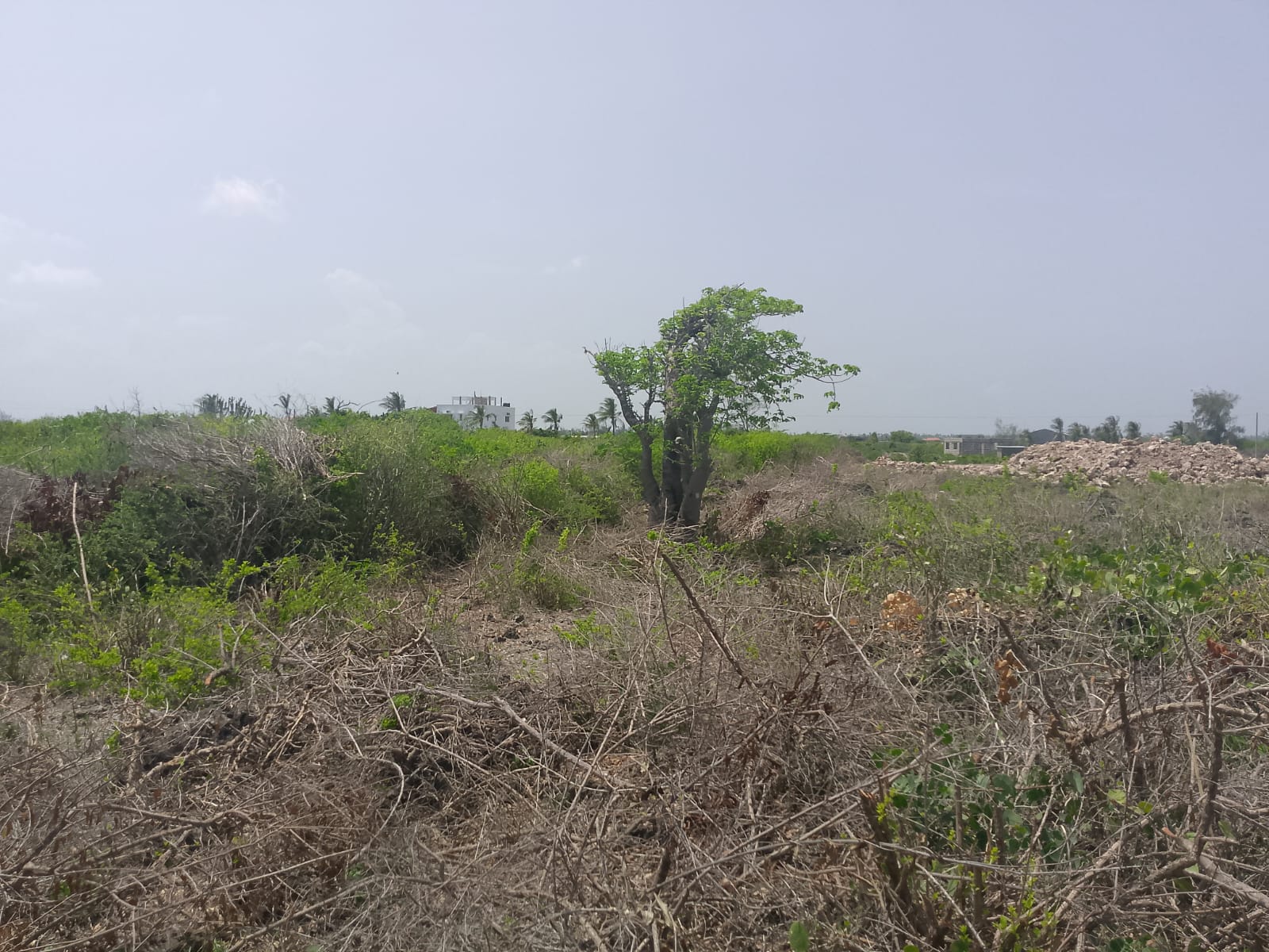 Prime 2-acre second-row plot for sale in Watamu near Lonno Lodge and Mawe Zuri with beach access and Jacaranda Road frontage.