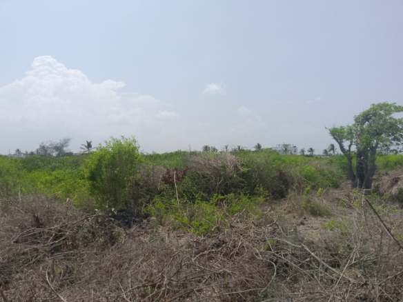 Prime 2-acre second-row plot for sale in Watamu near Lonno Lodge and Mawe Zuri with beach access and Jacaranda Road frontage.