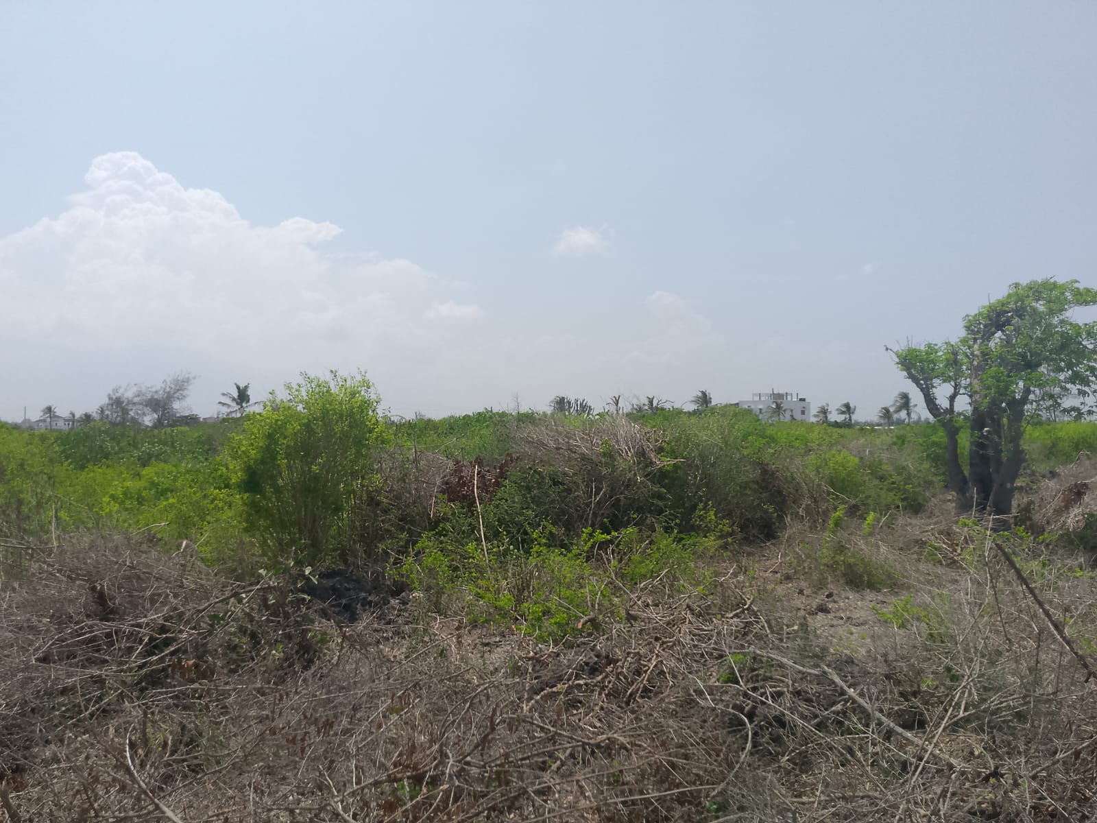 Prime 2-acre second-row plot for sale in Watamu near Lonno Lodge and Mawe Zuri with beach access and Jacaranda Road frontage.