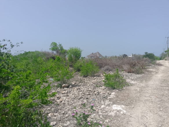Prime 2-acre second-row plot for sale in Watamu near Lonno Lodge and Mawe Zuri with beach access and Jacaranda Road frontage.