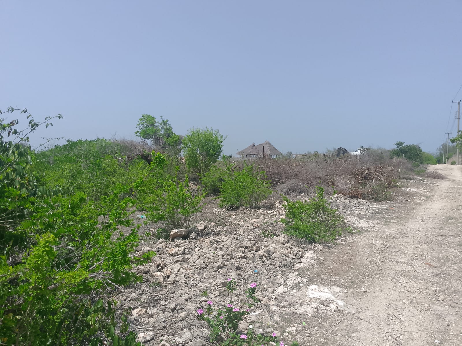 Prime 2-acre second-row plot for sale in Watamu near Lonno Lodge and Mawe Zuri with beach access and Jacaranda Road frontage.