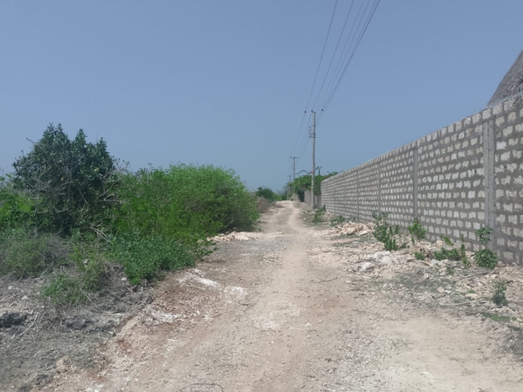 Prime 2-acre second-row plot for sale in Watamu near Lonno Lodge and Mawe Zuri with beach access and Jacaranda Road frontage.