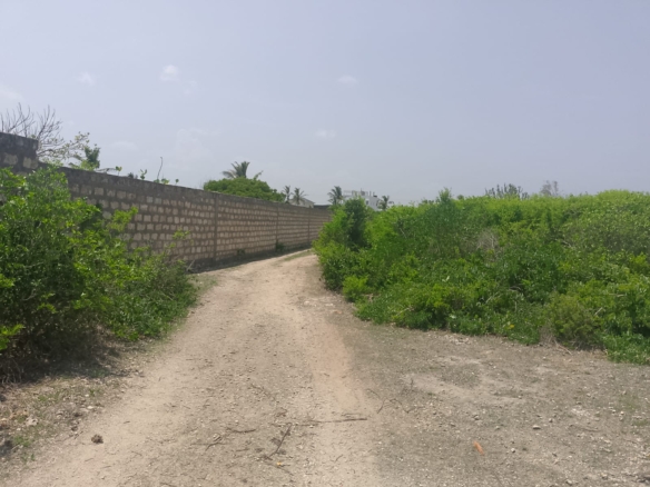 Prime 2-acre second-row plot for sale in Watamu near Lonno Lodge and Mawe Zuri with beach access and Jacaranda Road frontage.