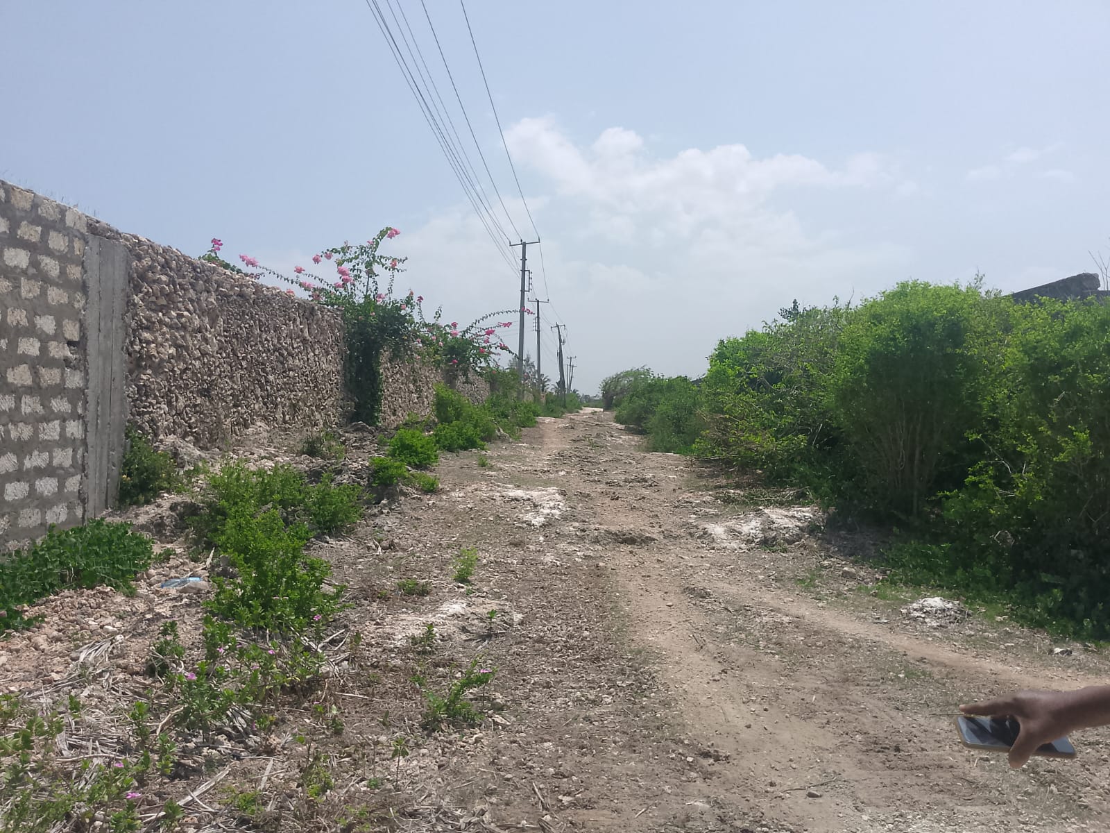 Prime 2-acre second-row plot for sale in Watamu near Lonno Lodge and Mawe Zuri with beach access and Jacaranda Road frontage.