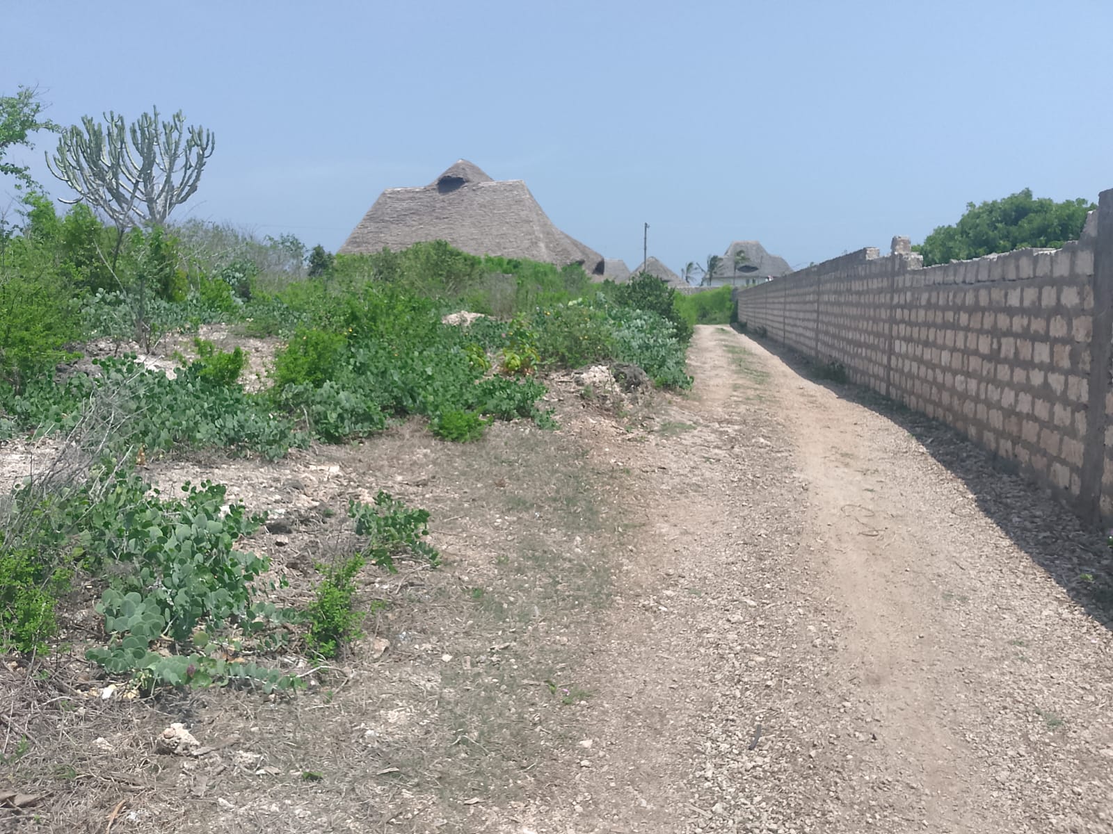 Prime 2-acre second-row plot for sale in Watamu near Lonno Lodge and Mawe Zuri with beach access and Jacaranda Road frontage.
