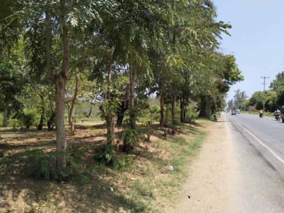 50x100 plot for sale near Gede on Watamu Road with road frontage, mother title available, and high investment potential in a fast-growing area.