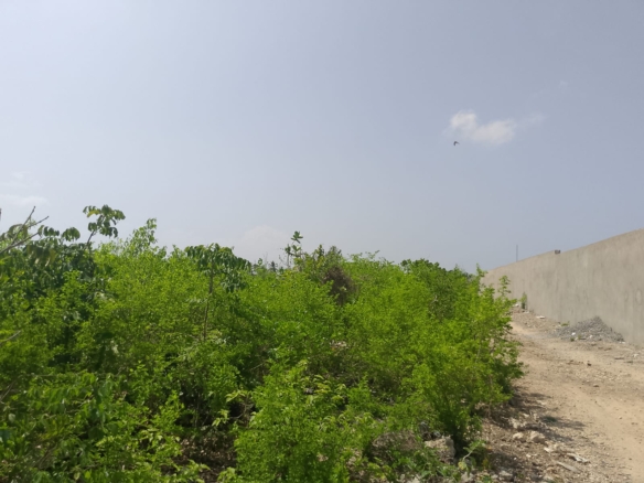 Prime 3-acre land for sale in Watamu near Rafiki Tamu Resort, Watamu Plaza, and Tembo Village. Fully titled, high growth, coastal investment opportunity.