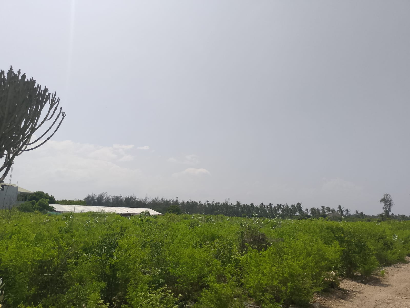 Prime 3-acre land for sale in Watamu near Rafiki Tamu Resort, Watamu Plaza, and Tembo Village. Fully titled, high growth, coastal investment opportunity.