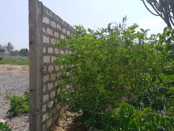 Prime 3-acre land for sale in Watamu near Rafiki Tamu Resort, Watamu Plaza, and Tembo Village. Fully titled, high growth, coastal investment opportunity.