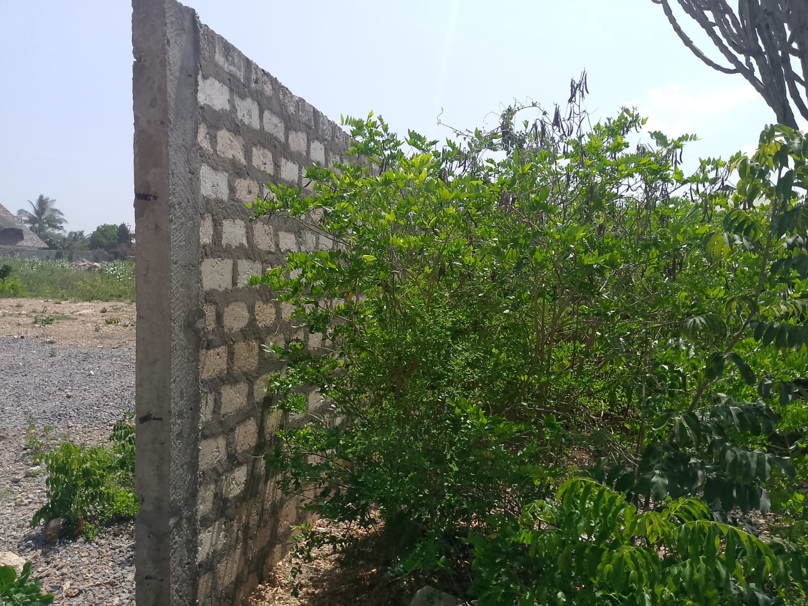 Prime 3-acre land for sale in Watamu near Rafiki Tamu Resort, Watamu Plaza, and Tembo Village. Fully titled, high growth, coastal investment opportunity.