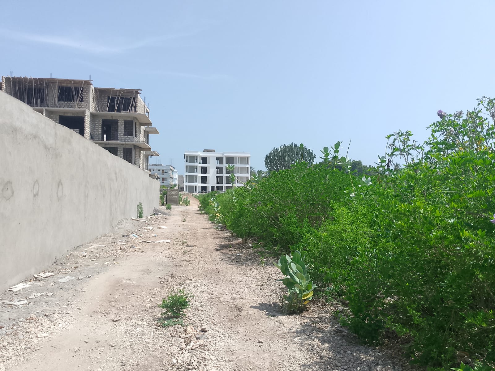 Prime 3-acre land for sale in Watamu near Rafiki Tamu Resort, Watamu Plaza, and Tembo Village. Fully titled, high growth, coastal investment opportunity.