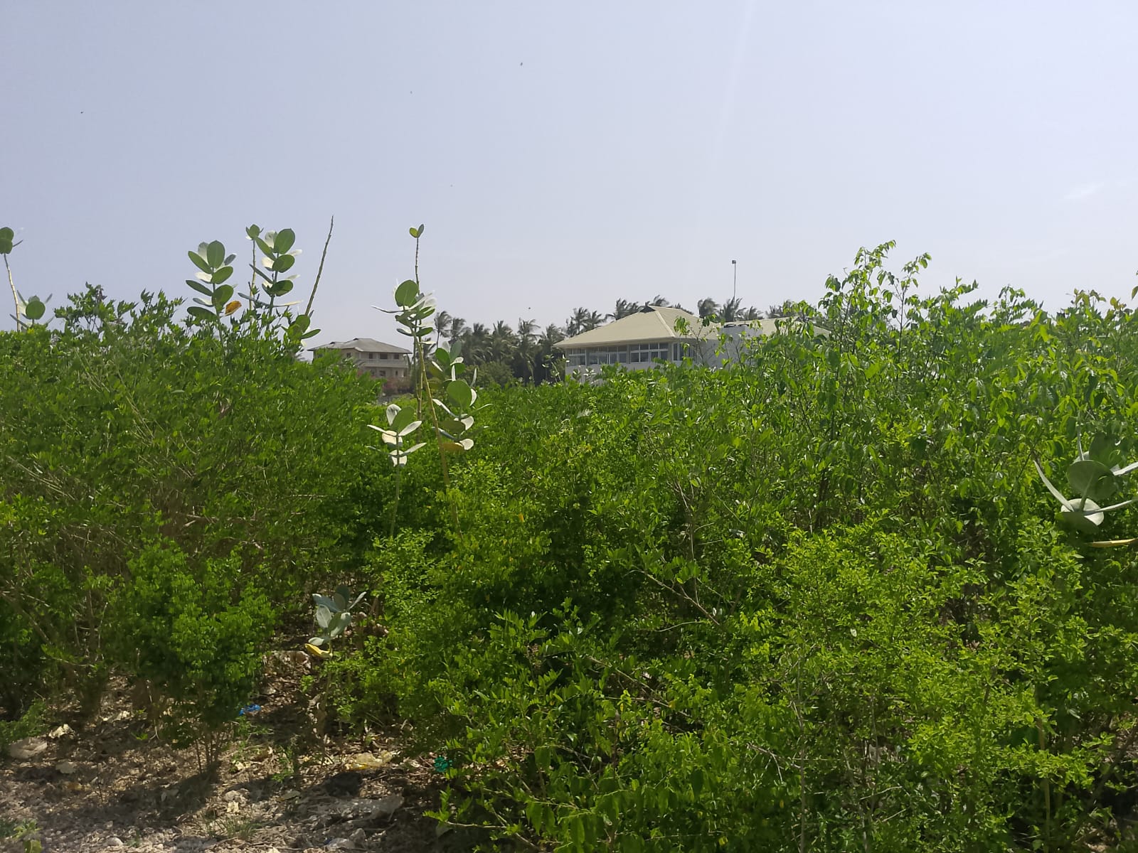 Prime 3-acre land for sale in Watamu near Rafiki Tamu Resort, Watamu Plaza, and Tembo Village. Fully titled, high growth, coastal investment opportunity.