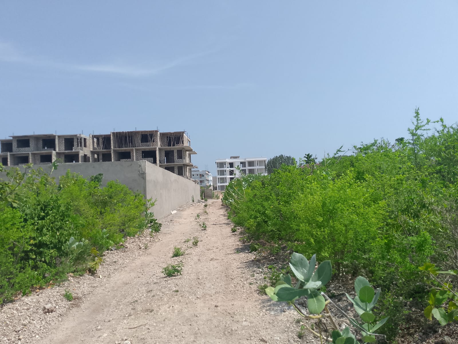 Prime 3-acre land for sale in Watamu near Rafiki Tamu Resort, Watamu Plaza, and Tembo Village. Fully titled, high growth, coastal investment opportunity.