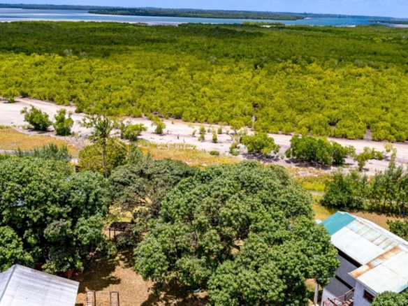 Luxury 2.7-acre creekfront property for sale in Mida Creek Watamu with ocean views, eco-lodge potential, and unique treehouse residence.