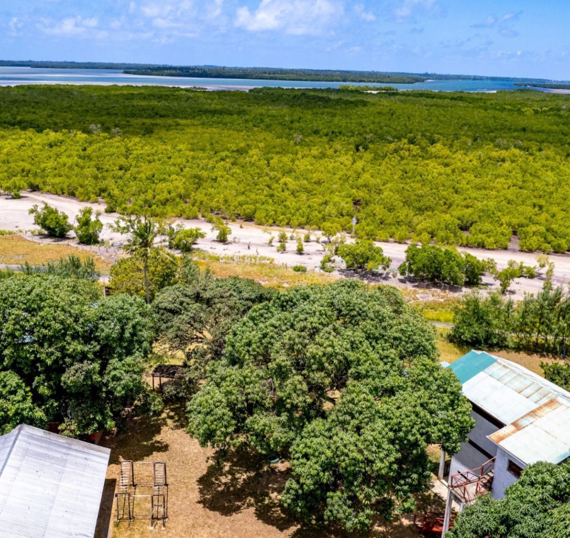 Luxury 2.7-acre creekfront property for sale in Mida Creek Watamu with ocean views, eco-lodge potential, and unique treehouse residence.