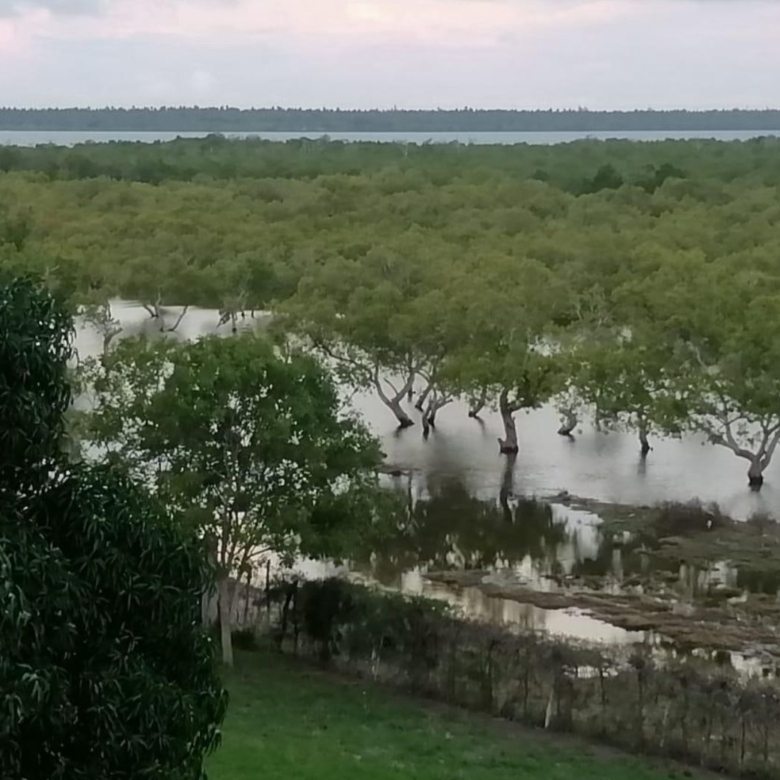 Luxury 2.7-acre creekfront property for sale in Mida Creek Watamu with ocean views, eco-lodge potential, and unique treehouse residence.