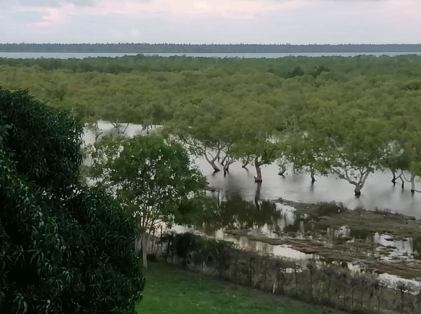 Luxury 2.7-acre creekfront property for sale in Mida Creek Watamu with ocean views, eco-lodge potential, and unique treehouse residence.