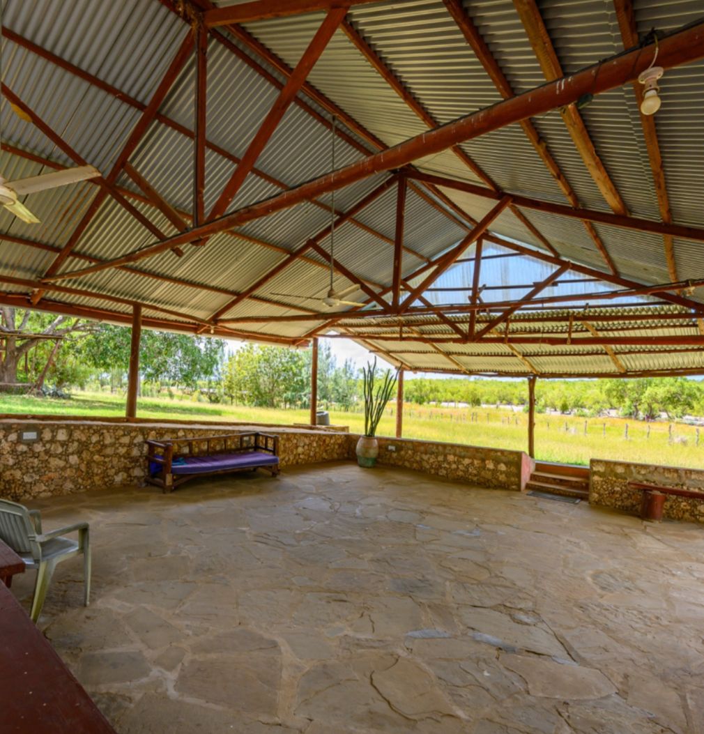 Luxury 2.7-acre creekfront property for sale in Mida Creek Watamu with ocean views, eco-lodge potential, and unique treehouse residence.