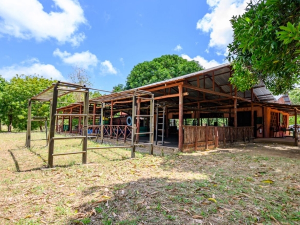 Luxury 2.7-acre creekfront property for sale in Mida Creek Watamu with ocean views, eco-lodge potential, and unique treehouse residence.