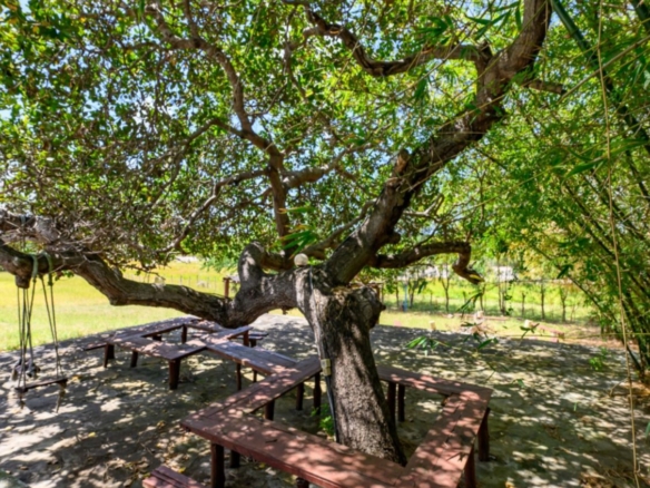 Luxury 2.7-acre creekfront property for sale in Mida Creek Watamu with ocean views, eco-lodge potential, and unique treehouse residence.