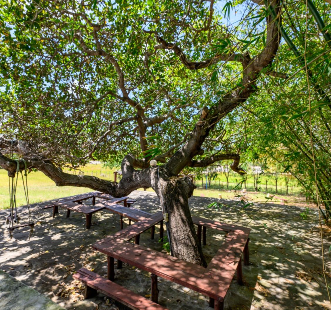 Luxury 2.7-acre creekfront property for sale in Mida Creek Watamu with ocean views, eco-lodge potential, and unique treehouse residence.