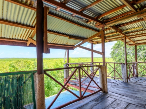 Luxury 2.7-acre creekfront property for sale in Mida Creek Watamu with ocean views, eco-lodge potential, and unique treehouse residence.